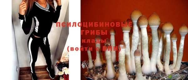 ешки Няндома