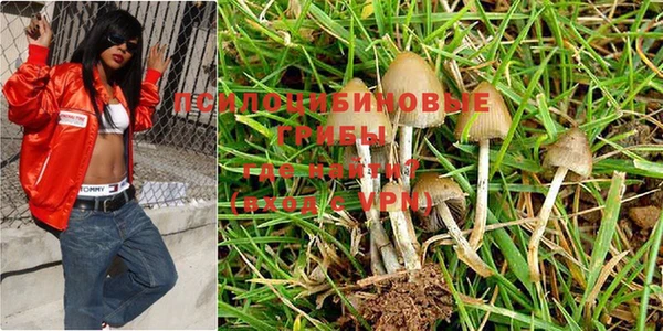 mdpv Осташков