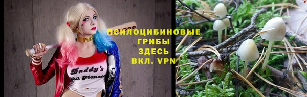 mdpv Осташков
